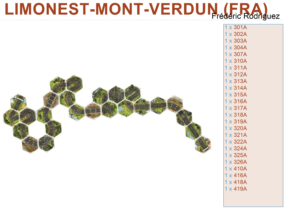 LIMONEST MONT VERDUN (FRA) tiles