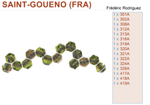 SAINT GOUENO (FRA)