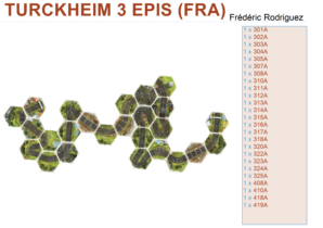 TURCKHEIM 3 EPIS (FRA)