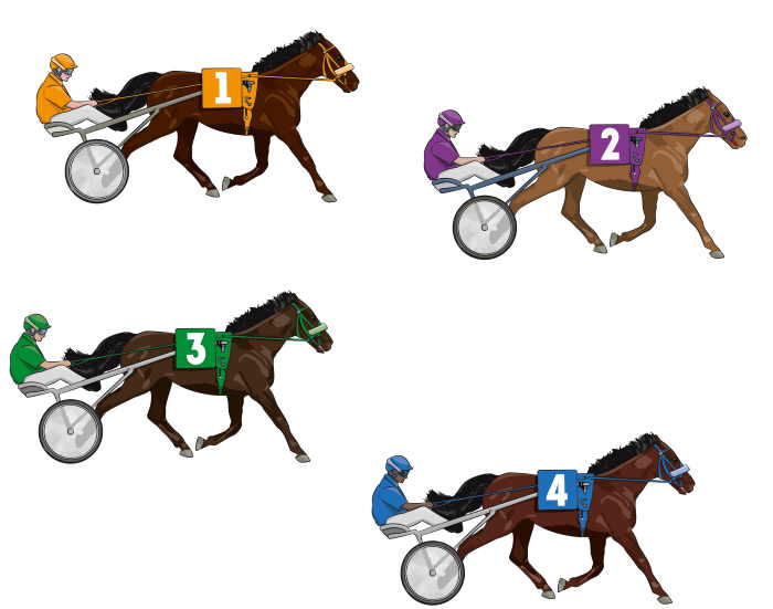 4 Trotteurs avec sulky Ticket Gagnant
