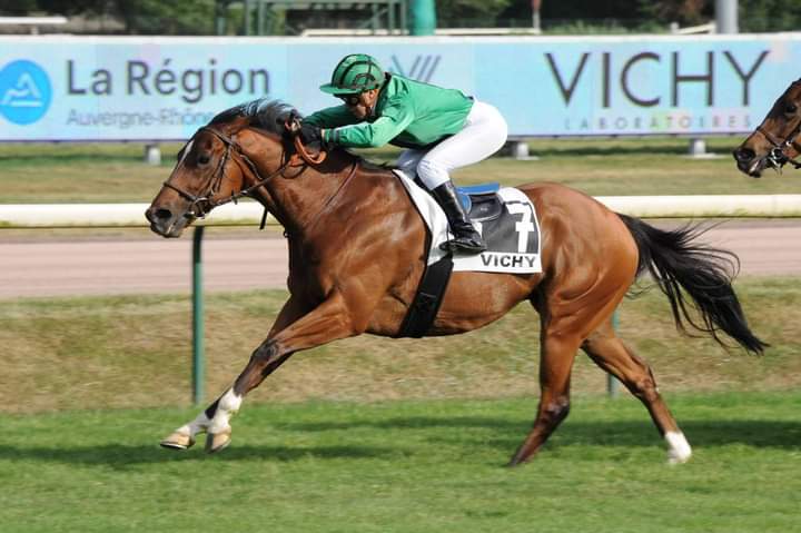 Celestine Bouvier Ticket Gagnant Bouvier International French Pegasus