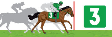 Cheval 3 Ticket Gagnant