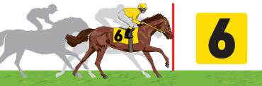 Cheval 6 Ticket Gagnant